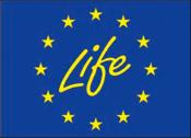 Project Logo